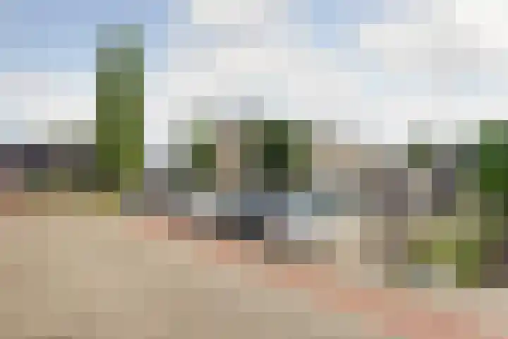 Potsmaat 43 Doesburg thumbnail 5