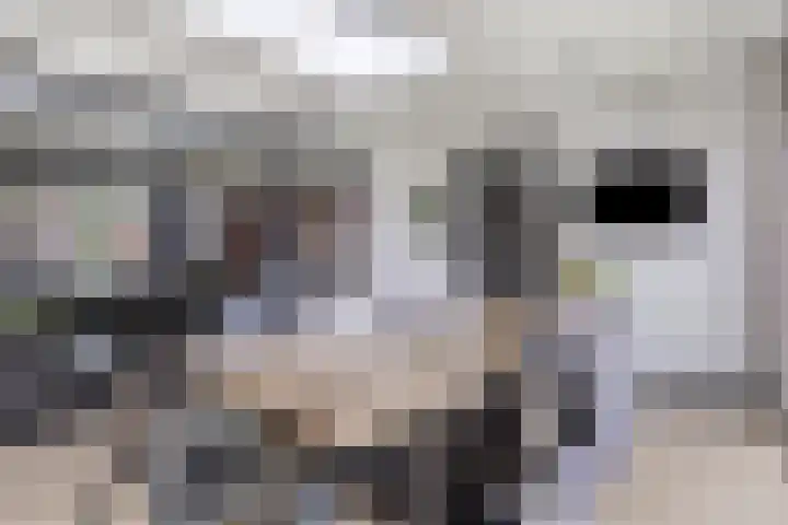 Potstal 23 Beek thumbnail 15