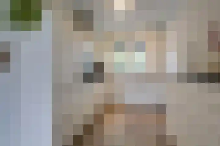 Potstal 25 Beek thumbnail 17