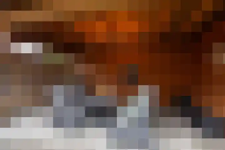 Potstal 25 Beek thumbnail 33