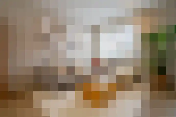 Pottenbakker 13 Deurne thumbnail 11