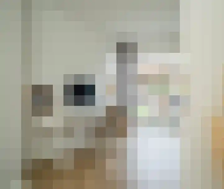 Pottenbakker 13 Deurne thumbnail 25