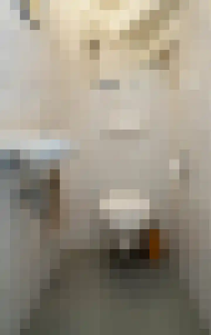 Pottenbakker 13 Deurne thumbnail 31