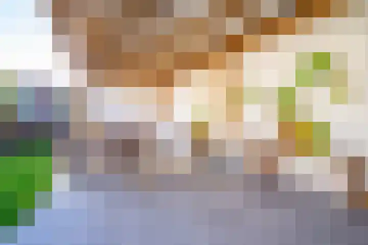 Pottenbakker 13 Deurne thumbnail 51