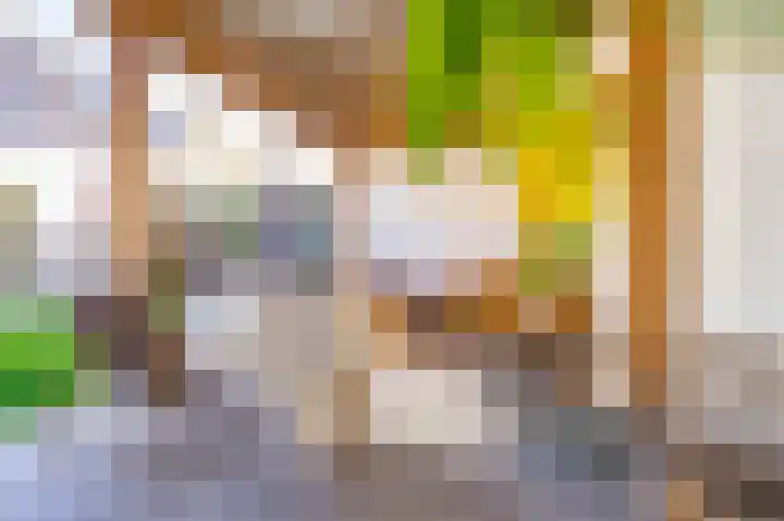 Pottenbakker 13 Deurne thumbnail 54