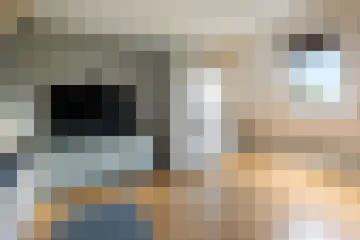 Pottenbakkersstraat 12 Veendam thumbnail 24