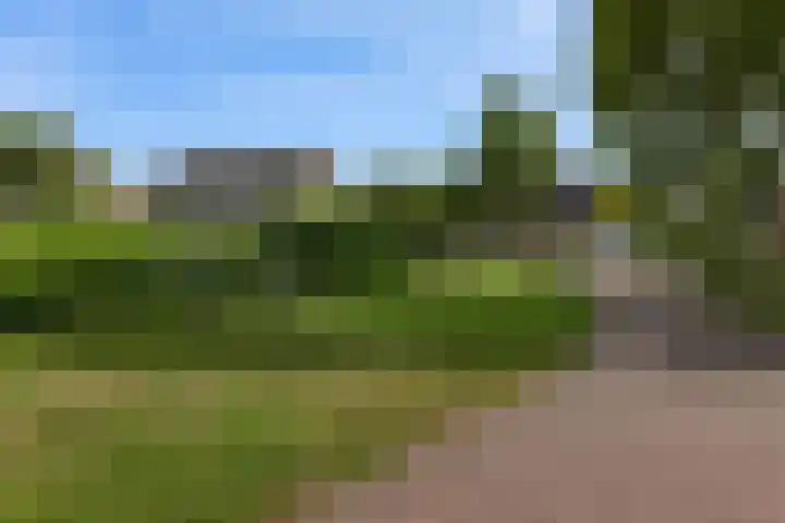 Pottenbakkersstraat 12 Veendam thumbnail 37