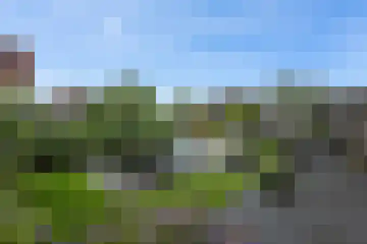 Pottenbakkersstraat 12 Veendam thumbnail 5