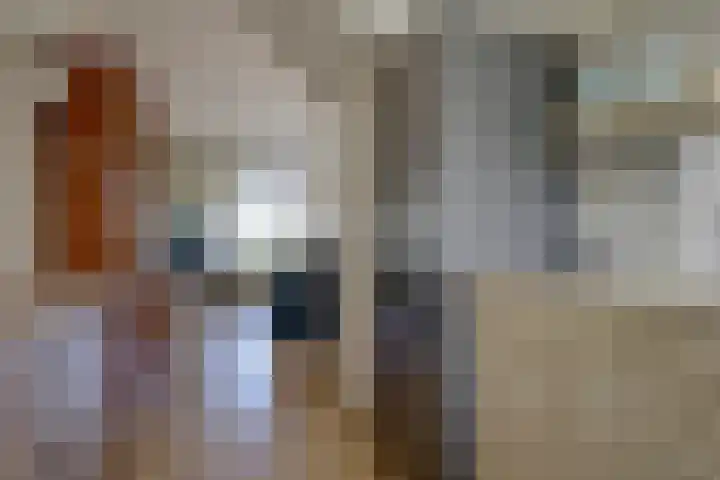 Pottenbakkersstraat 35 Veendam thumbnail 18