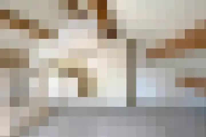 Pottenbakkersstraat 35 Veendam thumbnail 29