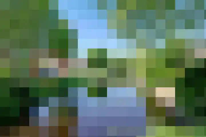 Pottenbakkersstraat 35 Veendam thumbnail 4