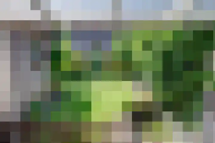 Pottenbakkersstraat 35 Veendam thumbnail 8