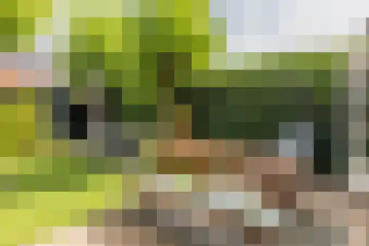 Pottenbakkersveste 6 Arnhem thumbnail 13