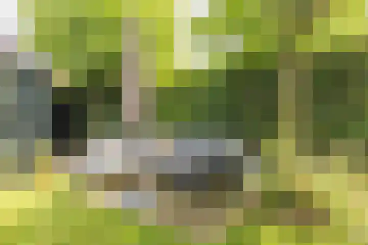 Pottenbakkersveste 6 Arnhem thumbnail 14