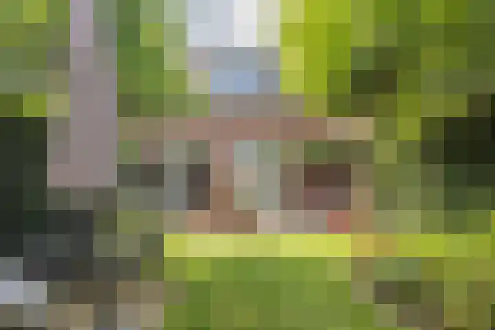 Pottenbakkersveste 6 Arnhem thumbnail 19