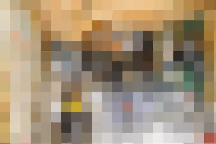Pottenbakkersveste 6 Arnhem thumbnail 20