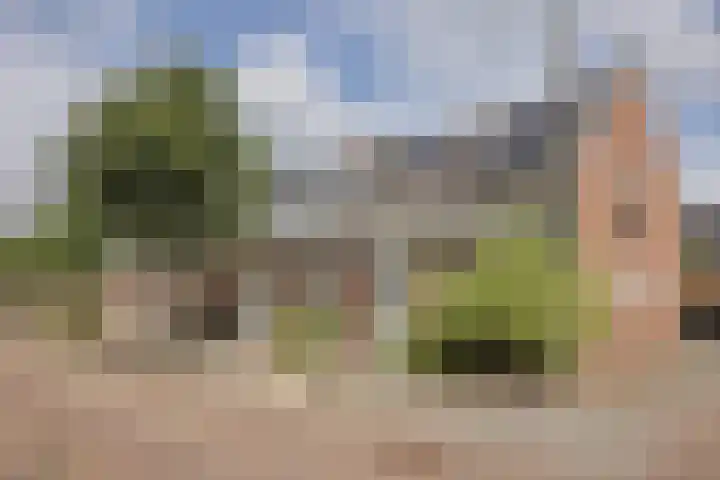 Pottenbakkersveste 6 Arnhem thumbnail 32