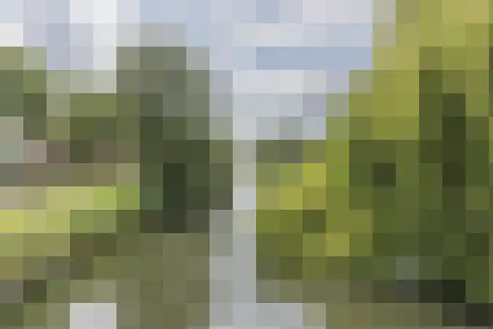 Pottenbakkersveste 6 Arnhem thumbnail 36