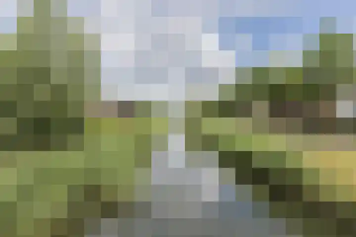 Pottenbakkersveste 6 Arnhem thumbnail 37