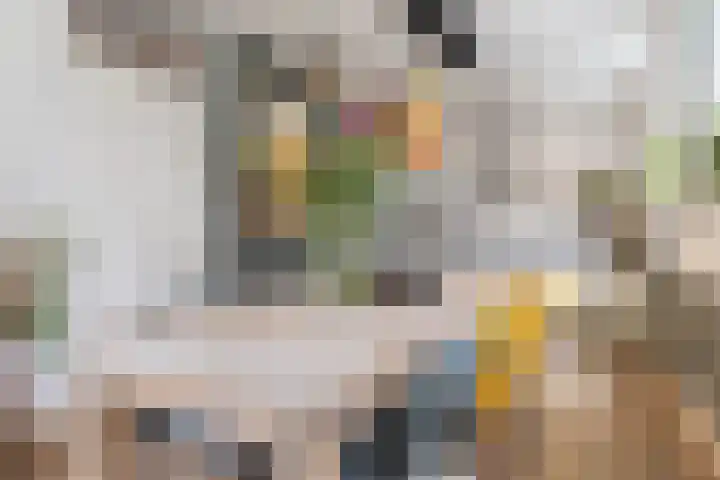 Pottenbakkersveste 6 Arnhem thumbnail 9