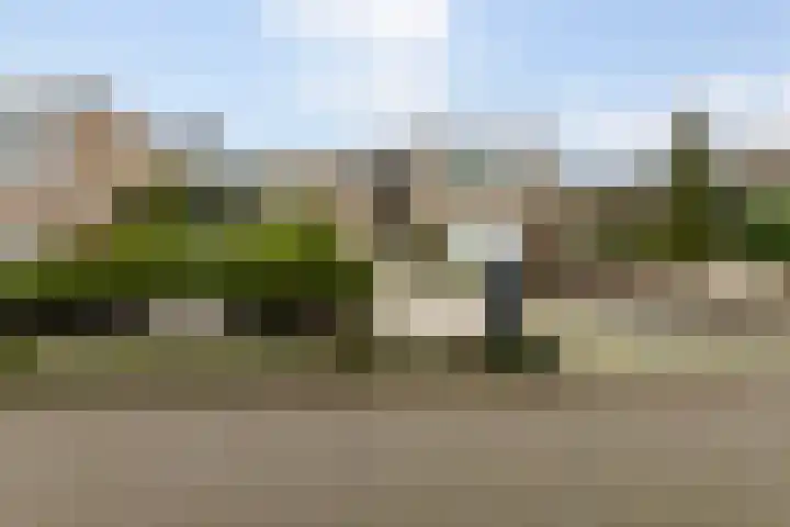 Pottenbergen 2 Ossendrecht thumbnail 36