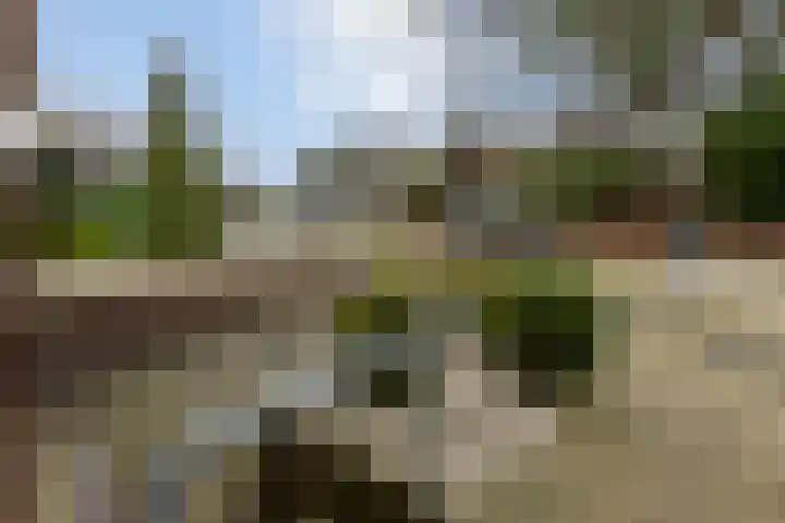 Pottenbergen 2 Ossendrecht thumbnail 37