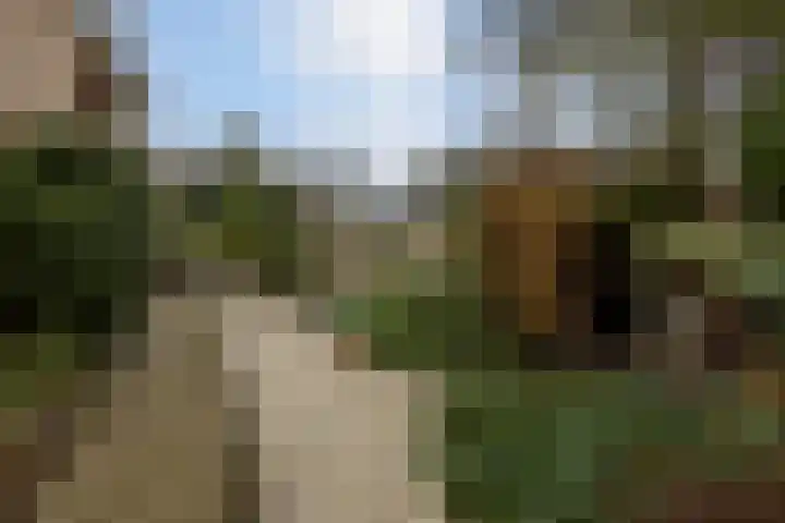 Pottenbergen 2 Ossendrecht thumbnail 38
