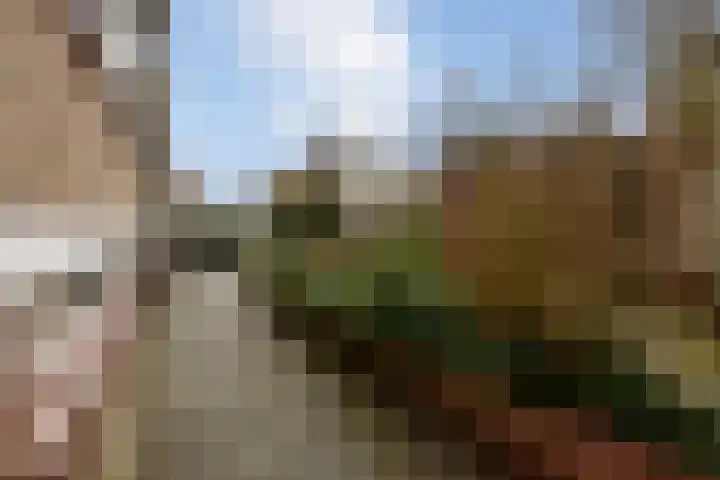 Pottenbergen 2 Ossendrecht thumbnail 39