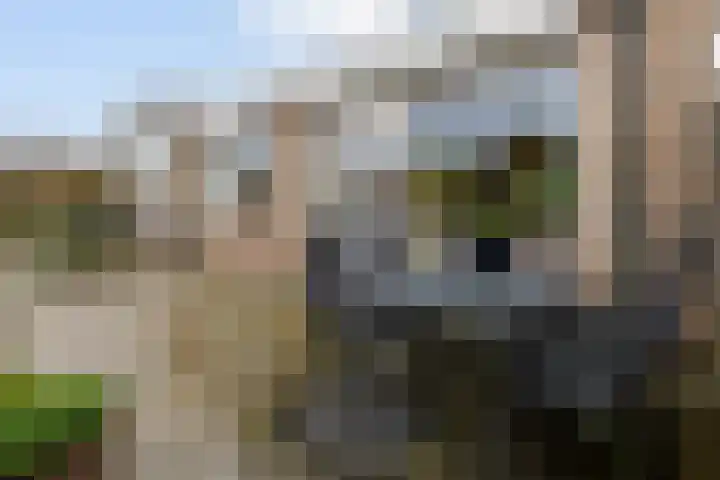Pottenbergen 2 Ossendrecht thumbnail 41