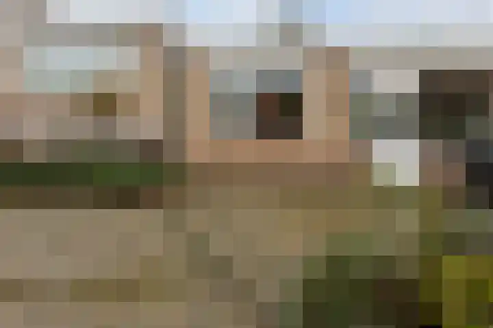 Pottenbergen 2 Ossendrecht thumbnail 42