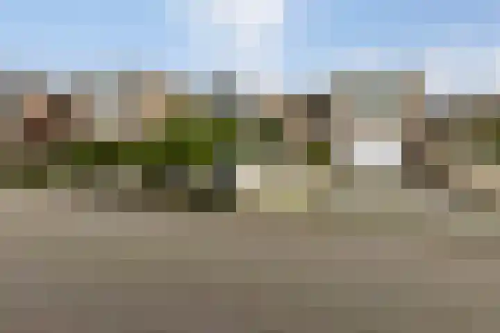 Pottenbergen 2 Ossendrecht thumbnail 48