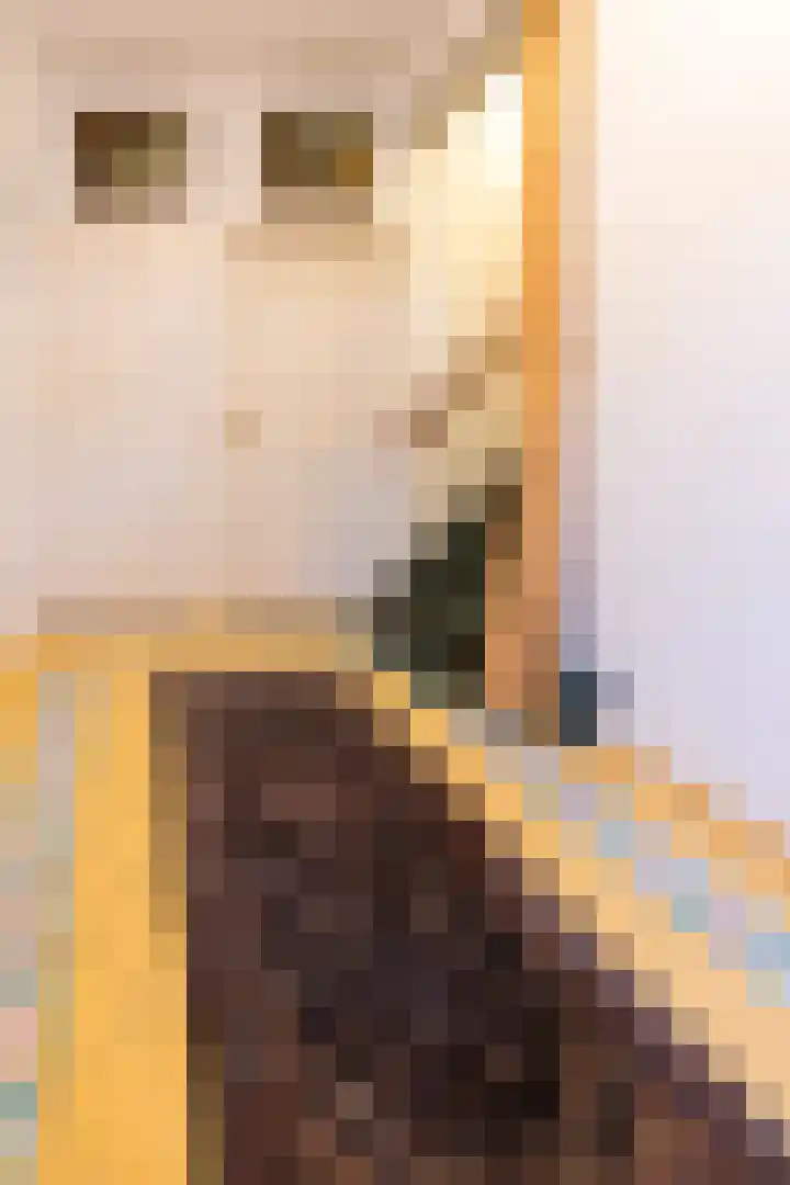 Pottenbergen 2 Ossendrecht thumbnail 6