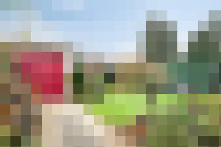 Potterstraat 30 Geleen thumbnail 4