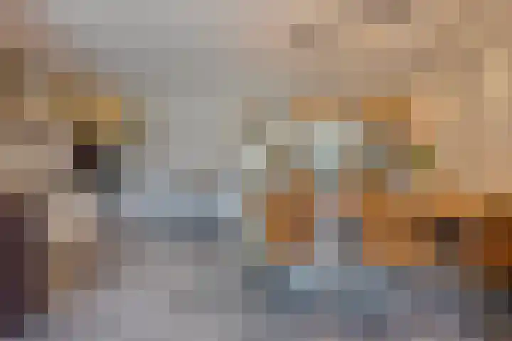 Pr. Bernhardstraat 10 Horst foto 3