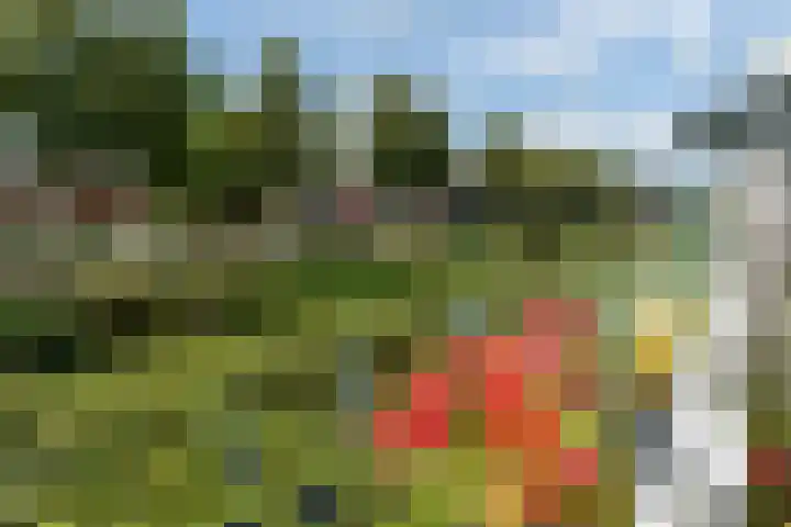 Praagsingel 95 IJsselstein thumbnail 42