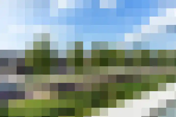 Praagsingel 95 IJsselstein thumbnail 43