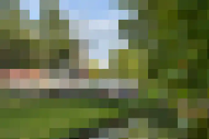 Praagsingel 95 IJsselstein thumbnail 47
