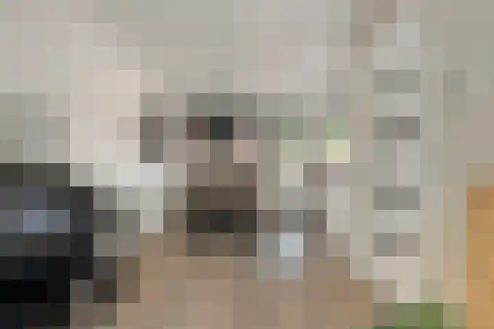 Praalheuvel 19 Best thumbnail 11