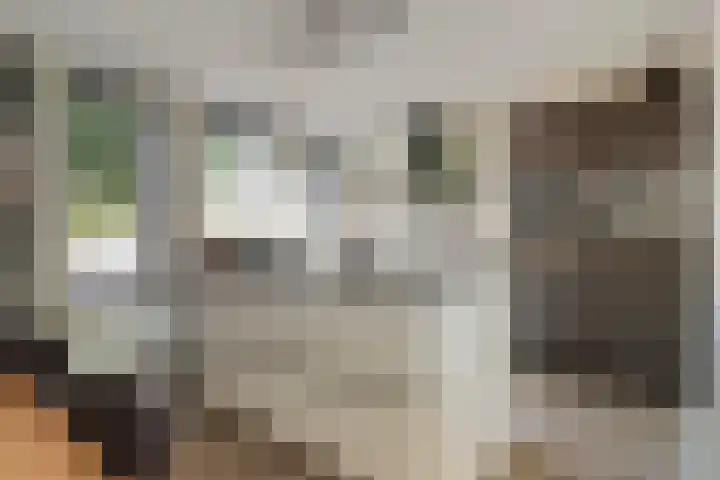 Praalheuvel 19 Best thumbnail 13