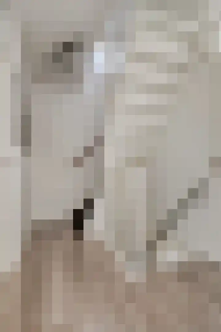 Praalheuvel 19 Best thumbnail 16