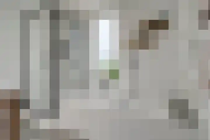Praalheuvel 19 Best thumbnail 21