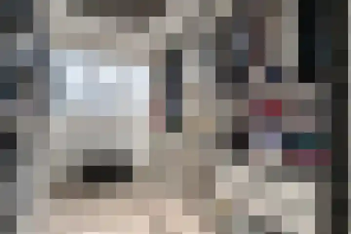 Praalheuvel 19 Best thumbnail 25