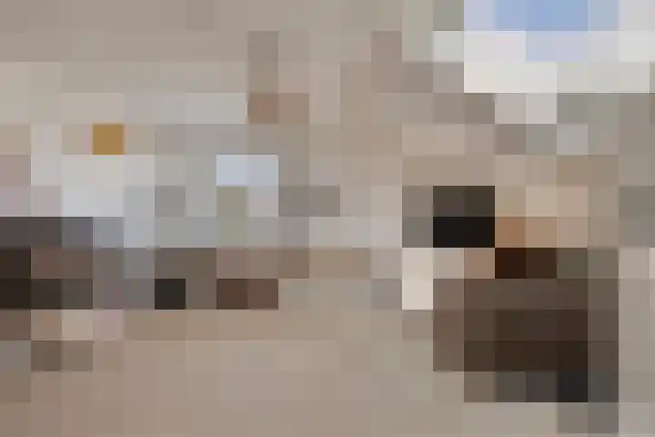 Praalheuvel 19 Best thumbnail 30