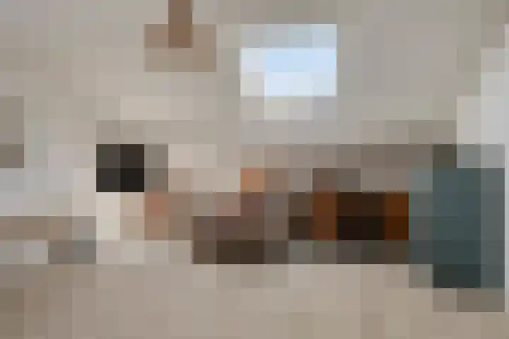 Praalheuvel 19 Best thumbnail 31