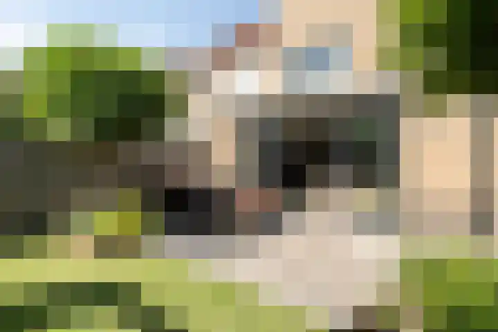Praalheuvel 19 Best thumbnail 35