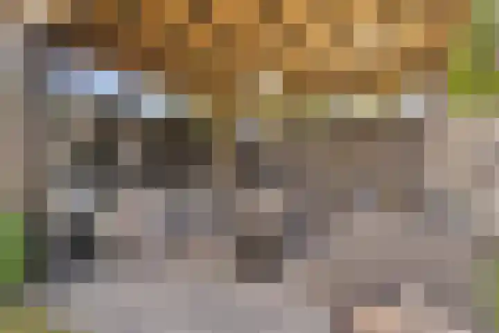 Praalheuvel 19 Best thumbnail 38