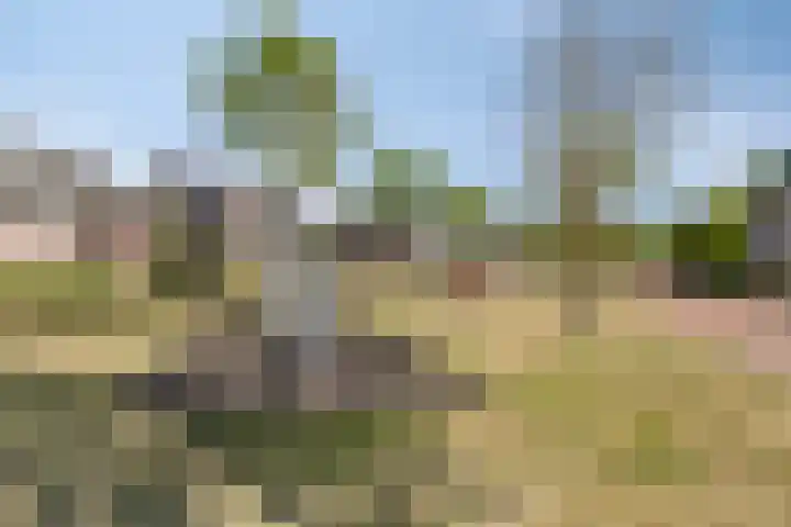 Praalheuvel 19 Best thumbnail 44