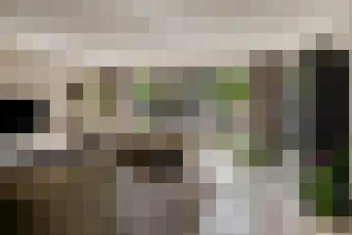 Praalheuvel 19 Best thumbnail 8