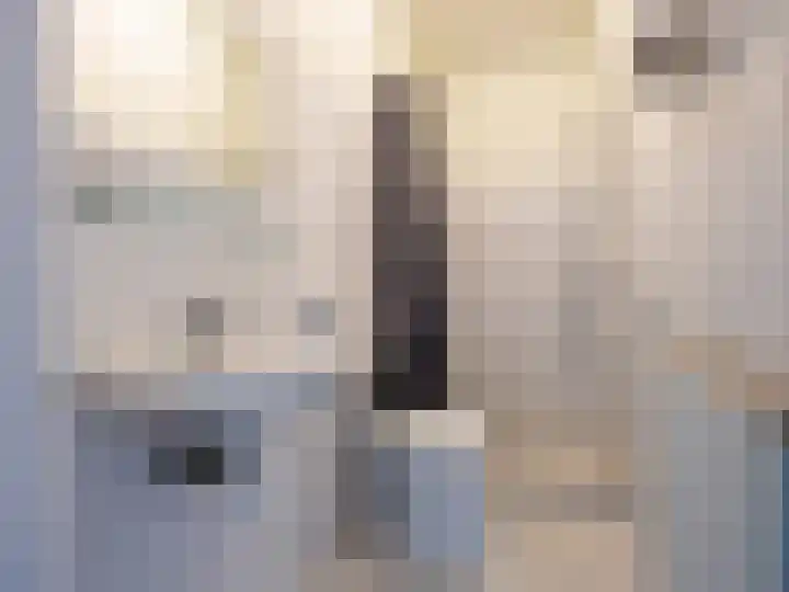 Praebsterkamp 13 Zutphen thumbnail 13