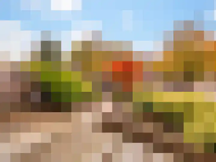 Praebsterkamp 13 Zutphen thumbnail 16